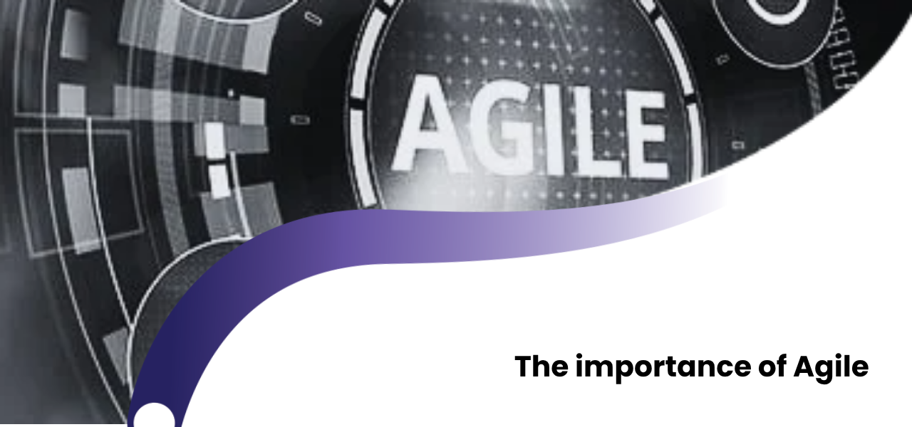 Agile proqram inkişafının əhəmiyyəti